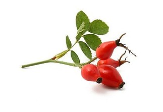 Fájlnév=csipkebogyo~0.jpg
Fájlméret=10KiB
Méretek=421x289
Hozzáadás dátuma=2011 Február 27. csipkebogyo~0.jpg