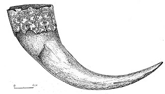 Fájlnév=SedovDrinkingHornOneFixed.jpg
Fájlméret=109KiB
Méretek=900x512
Hozzáadás dátuma=2017 Szeptember 1. SedovDrinkingHornOneFixed.jpg