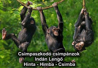 Fájlnév=csimpanz.jpg
Fájlméret=156KiB
Méretek=1000x703
Hozzáadás dátuma=2017 Május 23. csimpanz.jpg