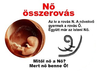Fájlnév=no1.jpg
Fájlméret=42KiB
Méretek=501x377
Hozzáadás dátuma=2015 Január 28. no1.jpg