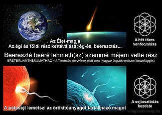 Fájlnév=panspermia-k1200.jpg
Fájlméret=217KiB
Méretek=1200x851
Hozzáadás dátuma=2015 Január 8. panspermia-k1200.jpg
