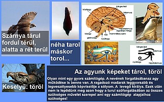 Fájlnév=solyom.jpg
Fájlméret=267KiB
Méretek=1280x800
Hozzáadás dátuma=2012 Szeptember 29. solyom.jpg
