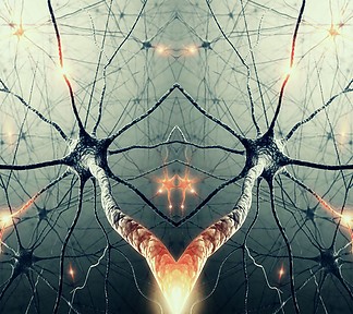 Fájlnév=tukorneuron.jpg
Fájlméret=340KiB
Méretek=1440x1280
Hozzáadás dátuma=2016 Július 29. tukorneuron.jpg
