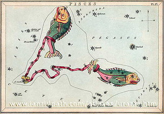 Fájlnév=urania27.jpg
Fájlméret=38KiB
Méretek=608x424
Hozzáadás dátuma=2012 Február 26. urania27.jpg