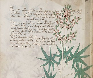Fájlnév=voynich_13950.jpg
Fájlméret=84KiB
Méretek=630x527
Hozzáadás dátuma=2017 Szeptember 19. voynich_13950.jpg
