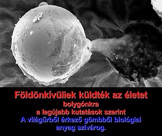 Fájlnév=orb-metallic-alien-feliratos.jpg
Fájlméret=75KiB
Méretek=697x585
Hozzáadás dátuma=2015 Február 13. orb-metallic-alien-feliratos.jpg