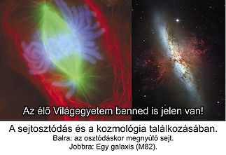 Fájlnév=sejt_es_galaxis.jpg
Fájlméret=138KiB
Méretek=1100x752
Hozzáadás dátuma=2016 Június 21. sejt_es_galaxis.jpg
