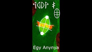 Fájlnév=sejtosztodas_rovas_video.jpg
Fájlméret=71KiB
Méretek=1200x675
Hozzáadás dátuma=2016 Április 4. sejtosztodas_rovas_video.jpg