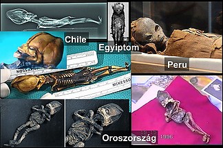 Fájlnév=idegen_mumiak.jpg
Fájlméret=345KiB
Méretek=1200x800
Hozzáadás dátuma=2015 Június 19. idegen_mumiak.jpg