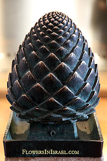 Fájlnév=Pinus_halepensis_flower4.jpg
Fájlméret=82KiB
Méretek=400x600
Hozzáadás dátuma=2012 Május 17. Pinus_halepensis_flower4.jpg