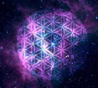 10002978_512570622187108_1429715135_n.jpg