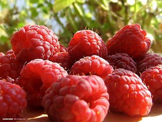 Fájlnév=10343012_1430068237258117_3464035597159802328_n.jpg
Fájlméret=45KiB
Méretek=526x394
Hozzáadás dátuma=2014 Június 15. 10343012_1430068237258117_3464035597159802328_n.jpg