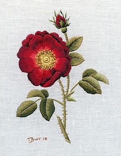 Fájlnév=541291_417389961657188_1846240874_n.jpg
Fájlméret=30KiB
Méretek=311x400
Hozzáadás dátuma=2012 Október 4. 541291_417389961657188_1846240874_n.jpg