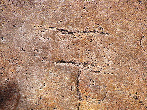 Fájlnév=7540675.jpg
Fájlméret=50KiB
Méretek=303x227
Hozzáadás dátuma=2012 November 3. 7540675.jpg