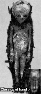 Fájlnév=egyiptomi-mumia2.jpg
Fájlméret=12KiB
Méretek=151x348
Hozzáadás dátuma=2013 Június 24. egyiptomi-mumia2.jpg